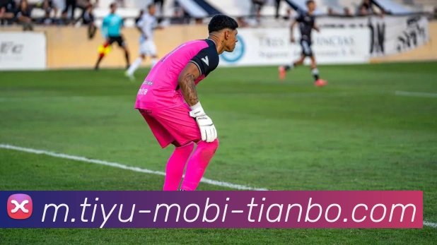 天博体育APP 体育赛事宣传图